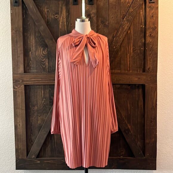 Zara Long Sleeve Dusty Pink Pleated Dress Sz-Medium - Picture 4 of 13